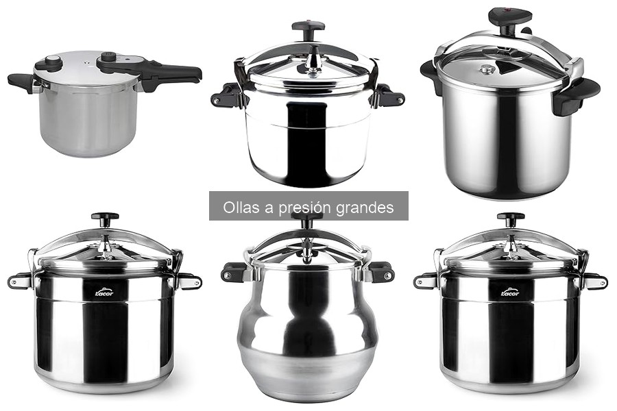 Cómo elegir la olla a presión grande adecuada para ti
