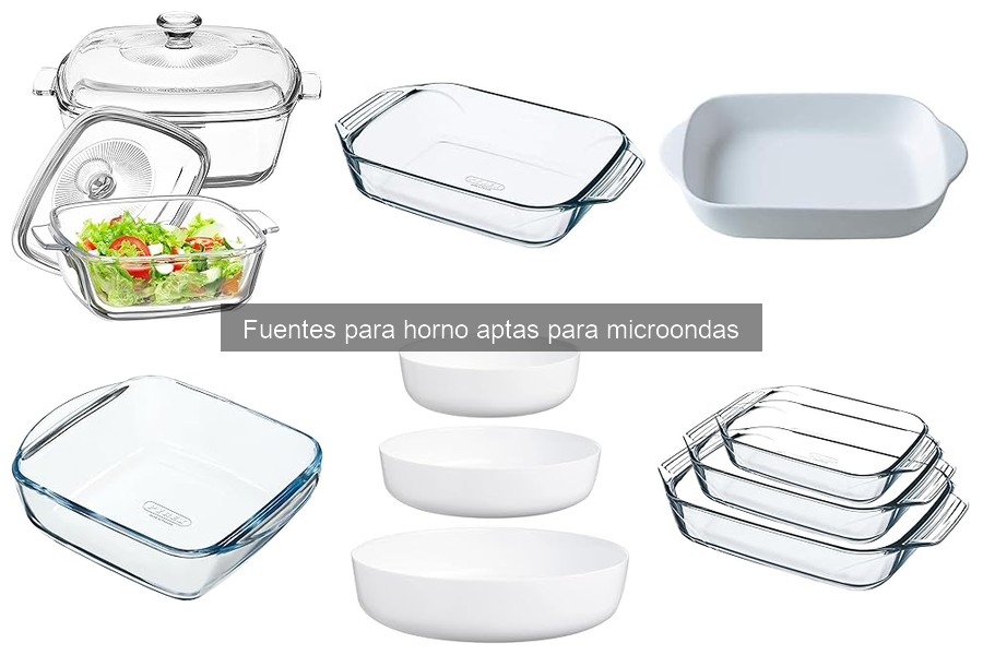 Dónde Comprar Fuentes para Horno Aptas para Microondas