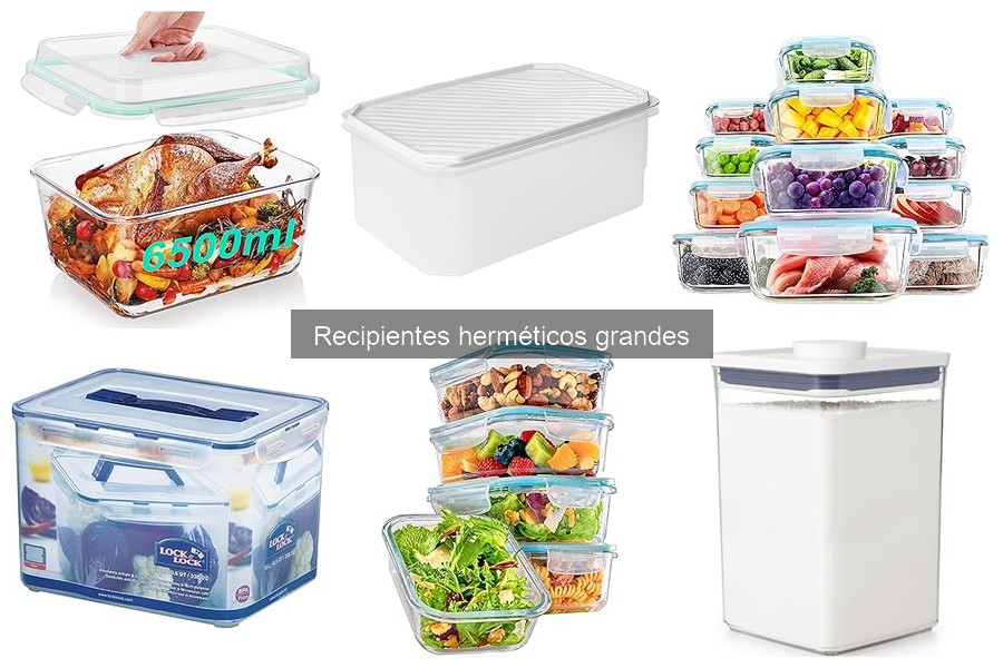 Mejores lugares para comprar recipientes herméticos grandes