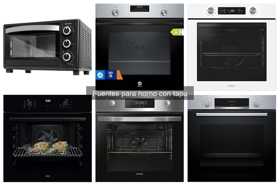 Opiniones de usuarios sobre fuentes para horno con tapa