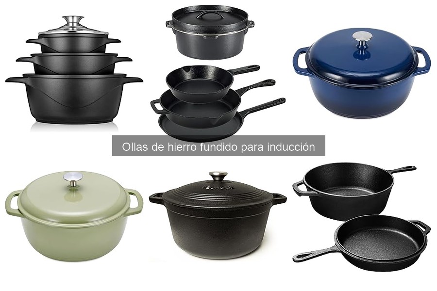 Recetas deliciosas para ollas de hierro fundido en inducción