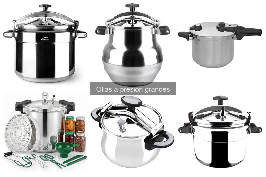 Recetas Rápidas y Deliciosas para Olla a Presión Grande