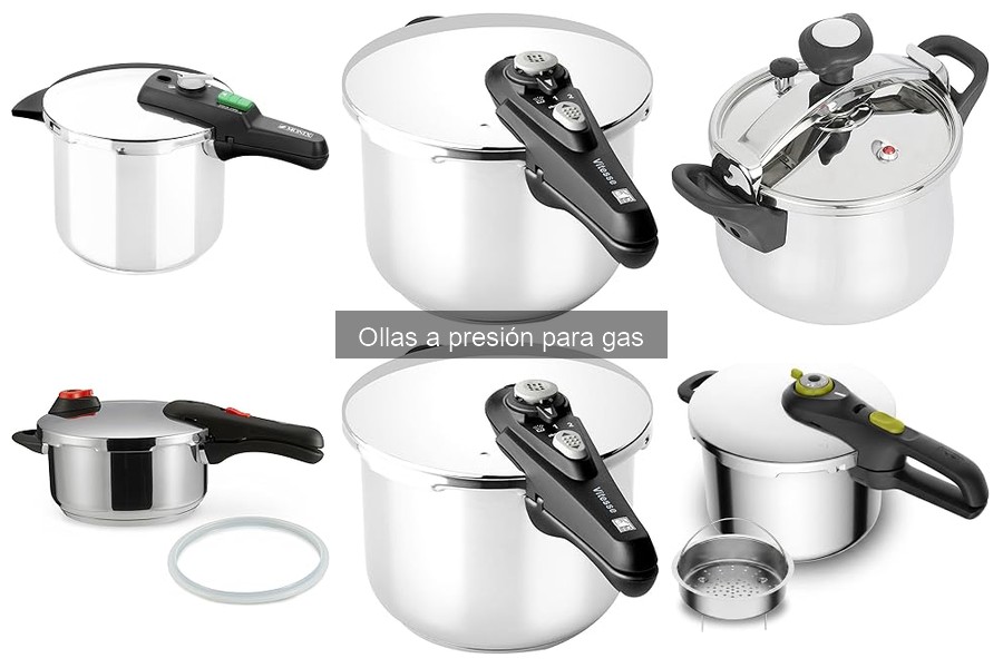 Recetas sencillas para olla a presión de gas ¡Deliciosas!
