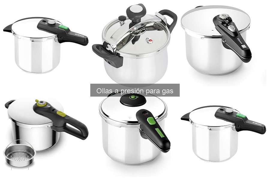 Tipos de ollas a presión para gas: características y ventajas